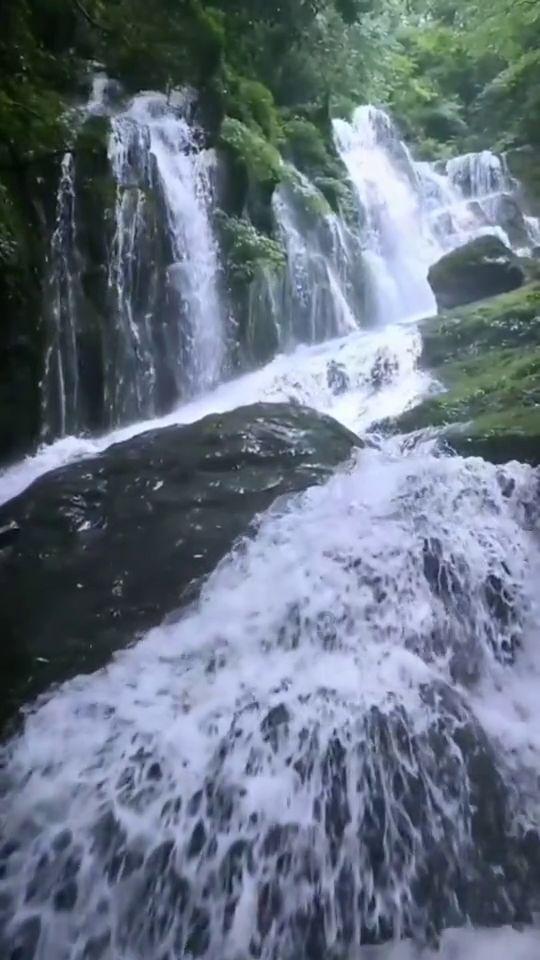 万词王
